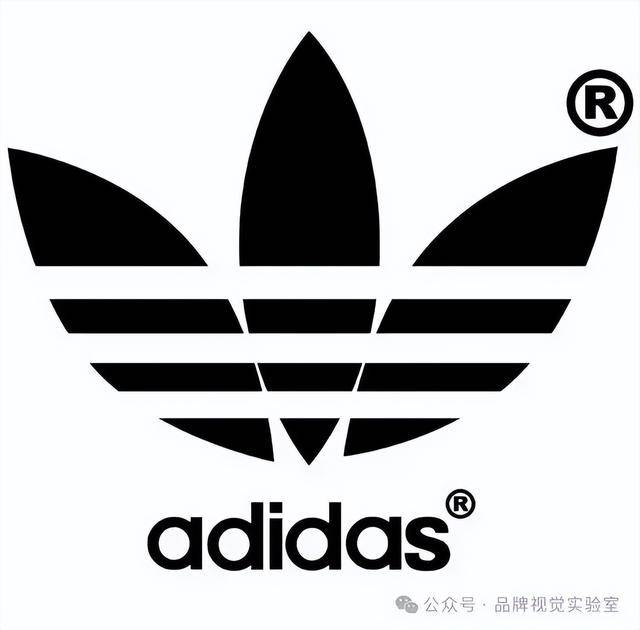球十大运动品牌盘点下！球王会体育屹立不倒的全(图8)
