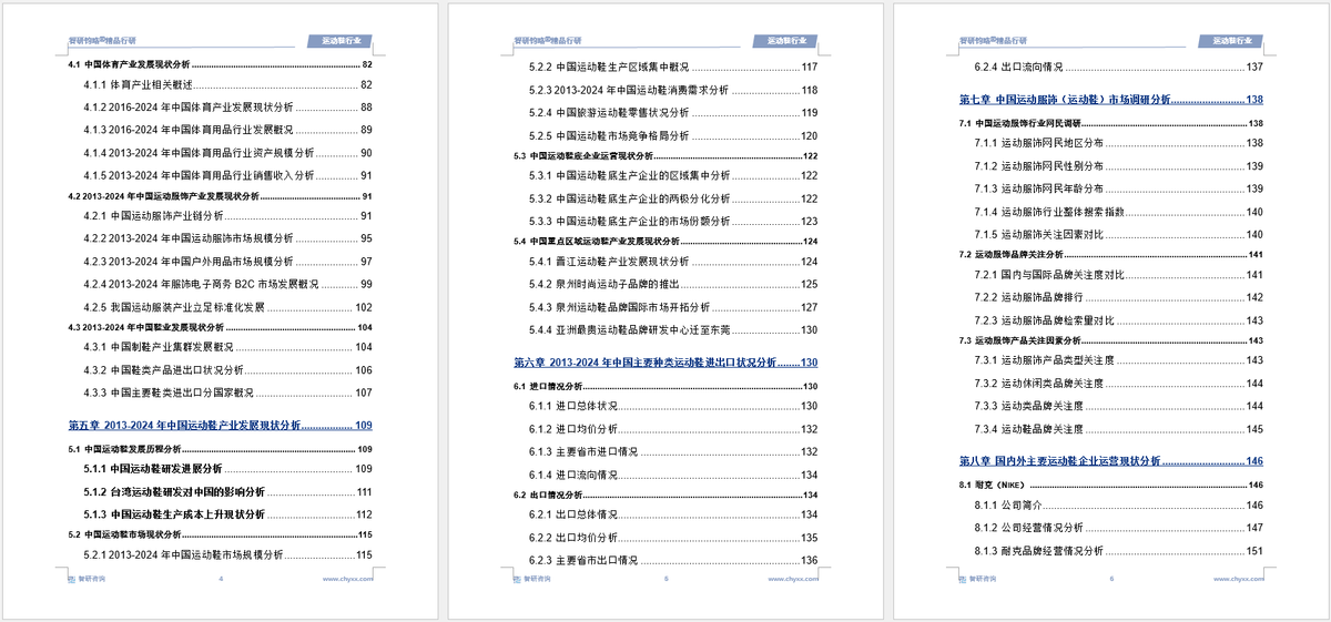 资前景研究报告（2025-2031年）球王会app中国运动鞋行业发展现状及投